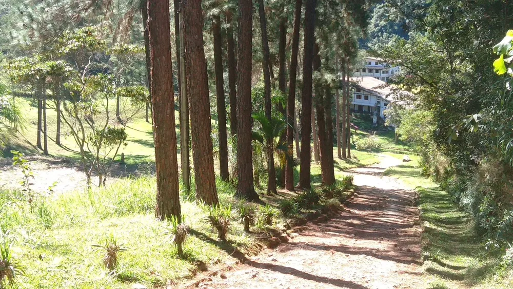 Sítio, 12 hectares - Foto 1