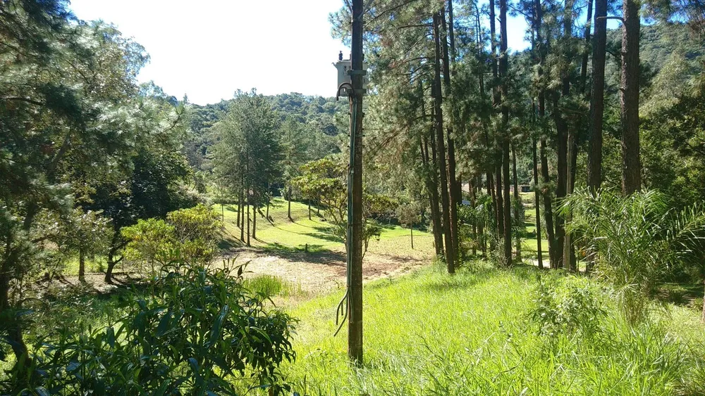 Sítio, 12 hectares - Foto 4