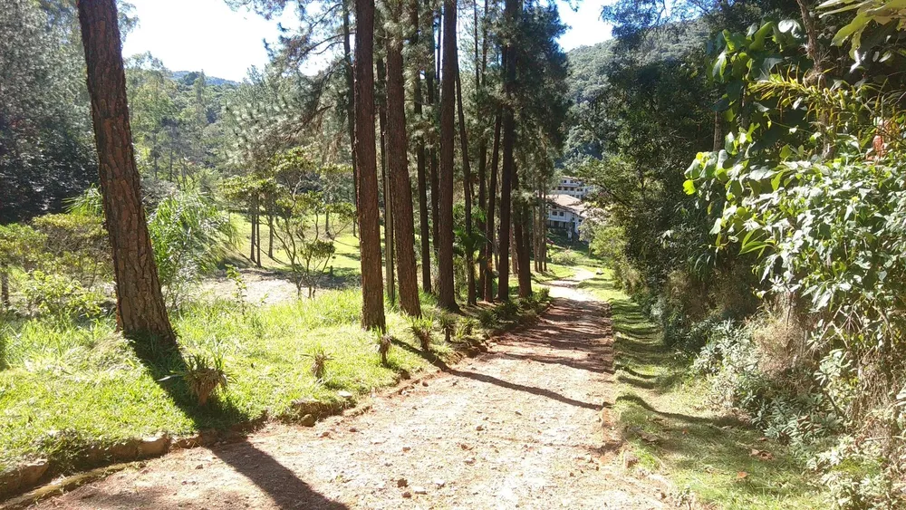 Sítio, 12 hectares - Foto 2