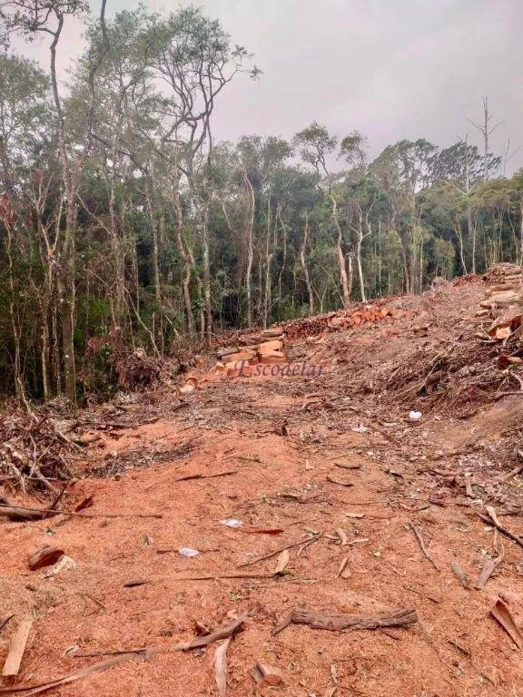 Terreno à venda, 2237M2 - Foto 2