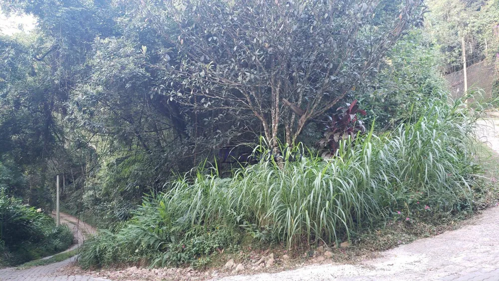 Terreno, 3000 m² - Foto 5