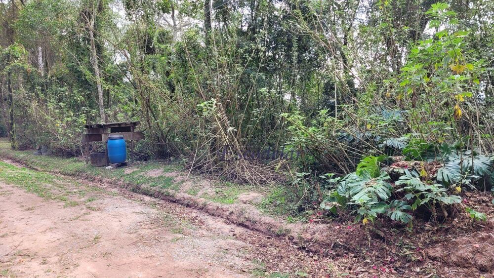 Terreno, 3000 m² - Foto 3