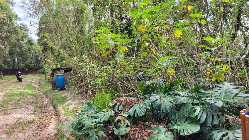 Terreno, 3000 m² - Foto 8