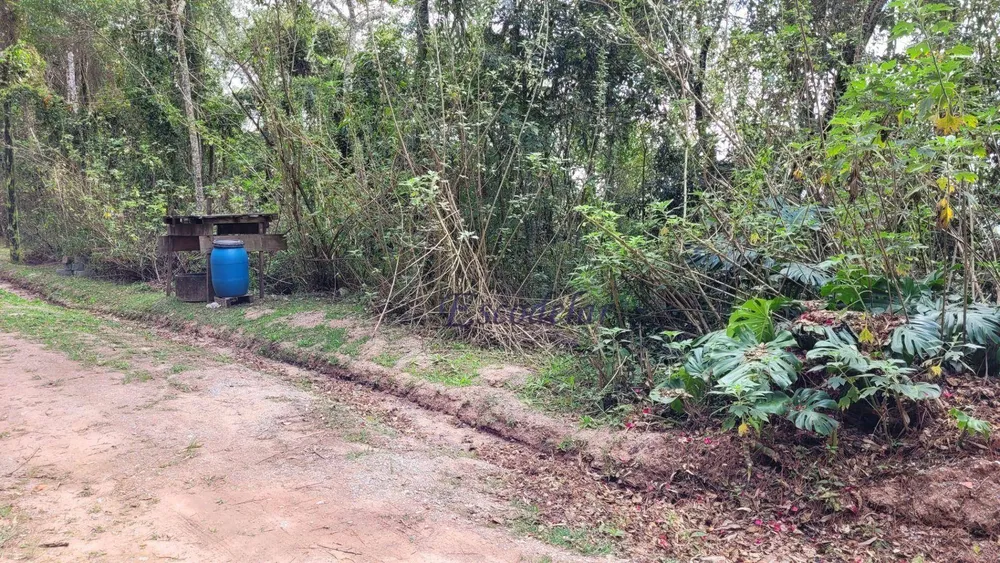 Terreno, 3000 m² - Foto 7