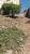 Terreno, 469 m² - Foto 8