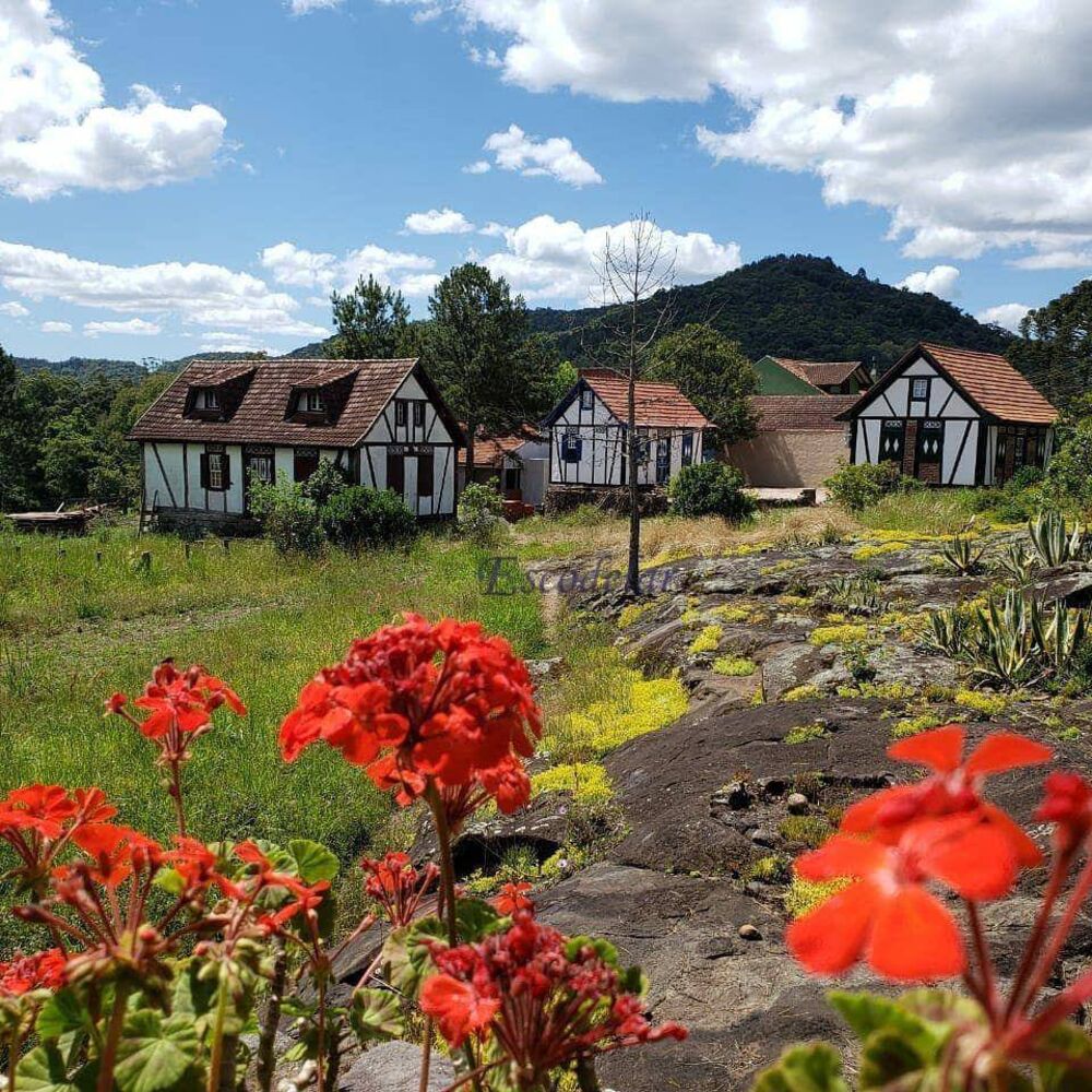 Terreno à venda, 10000M2 - Foto 2