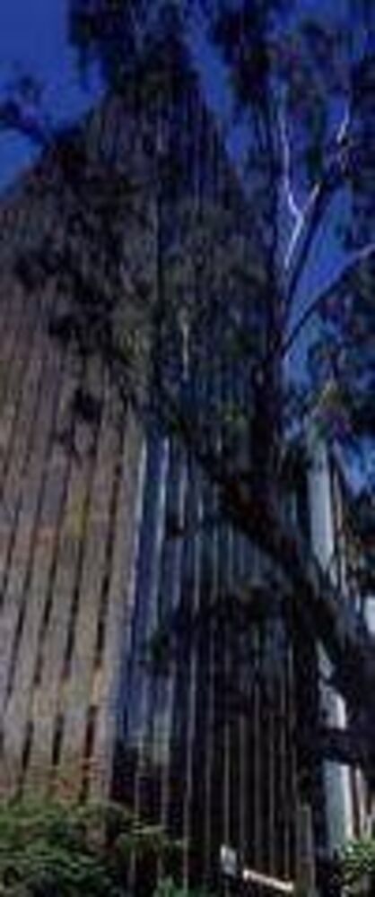 Conjunto Comercial-Sala à venda, 500m² - Foto 4