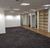 Sala-Conjunto, 500 m² - Foto 2