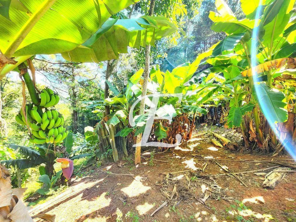 Chácara, 4 quartos, 2000 m² - Foto 4