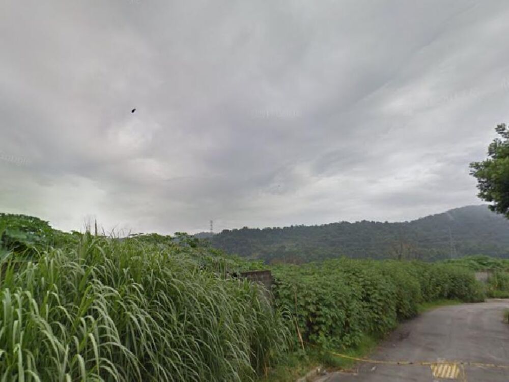 Terreno, 5 hectares - Foto 3