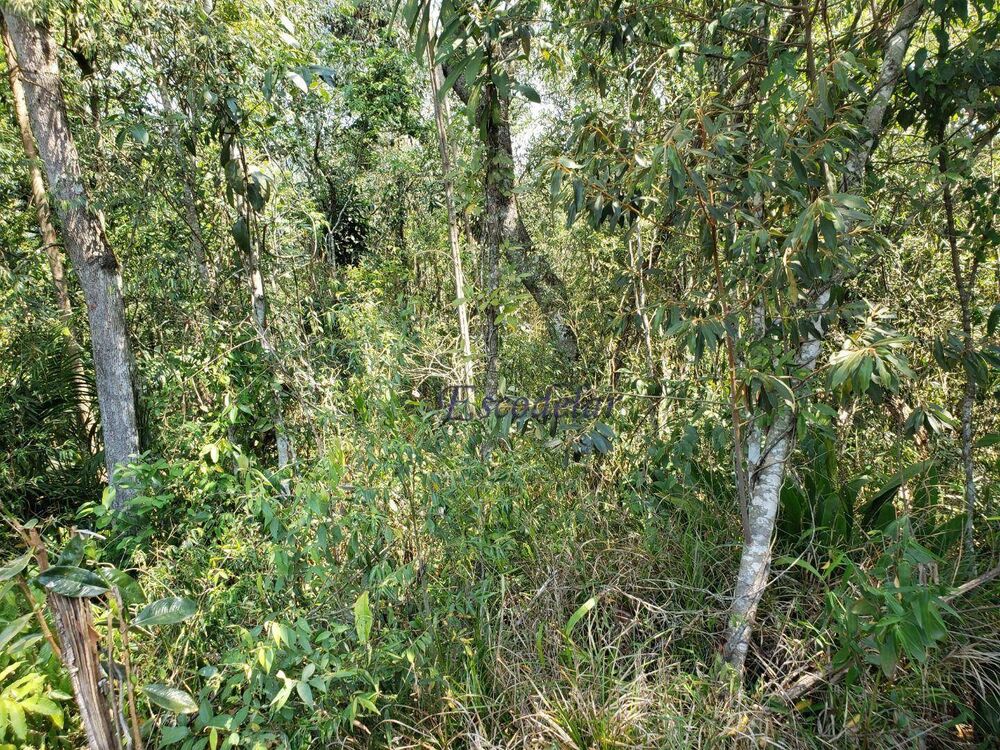 Terreno, 1120 m² - Foto 5