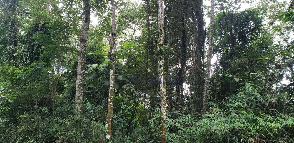 Terreno, 1120 m² - Foto 9