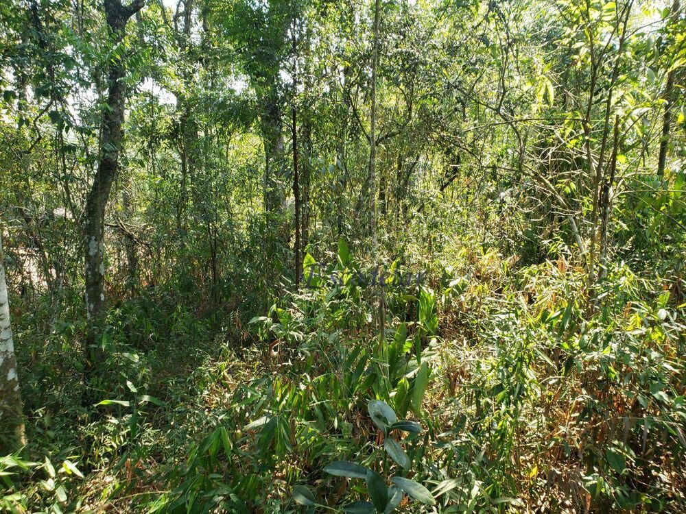 Terreno, 1120 m² - Foto 2