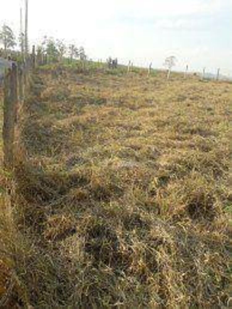 Terreno, 1000 m² - Foto 2