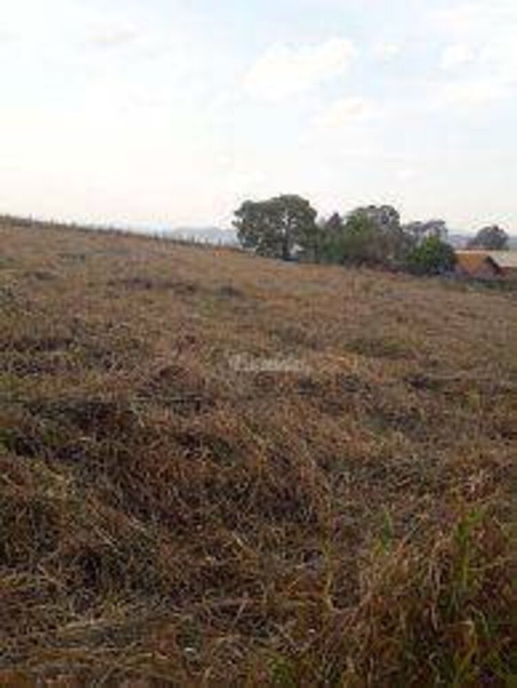 Terreno, 1000 m² - Foto 8