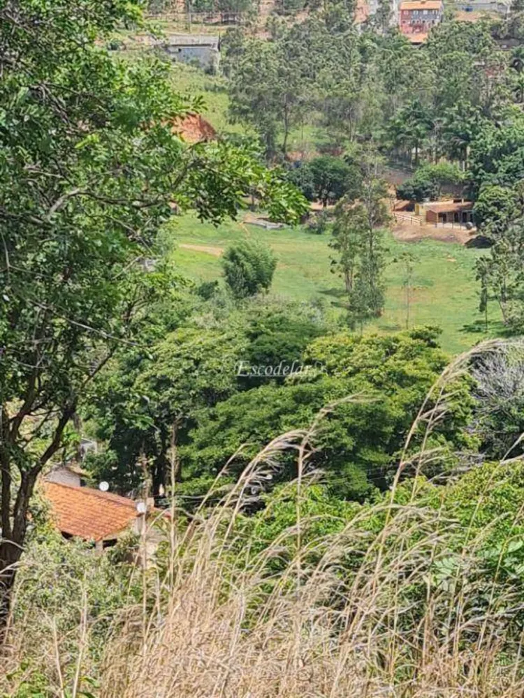 Terreno, 2 hectares - Foto 4
