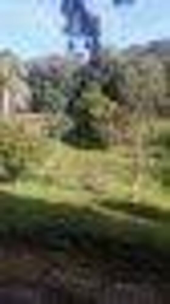 Terreno, 170 hectares - Foto 3