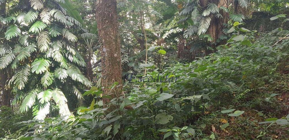 Terreno, 1383 m² - Foto 6