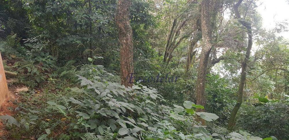 Terreno, 1383 m² - Foto 8