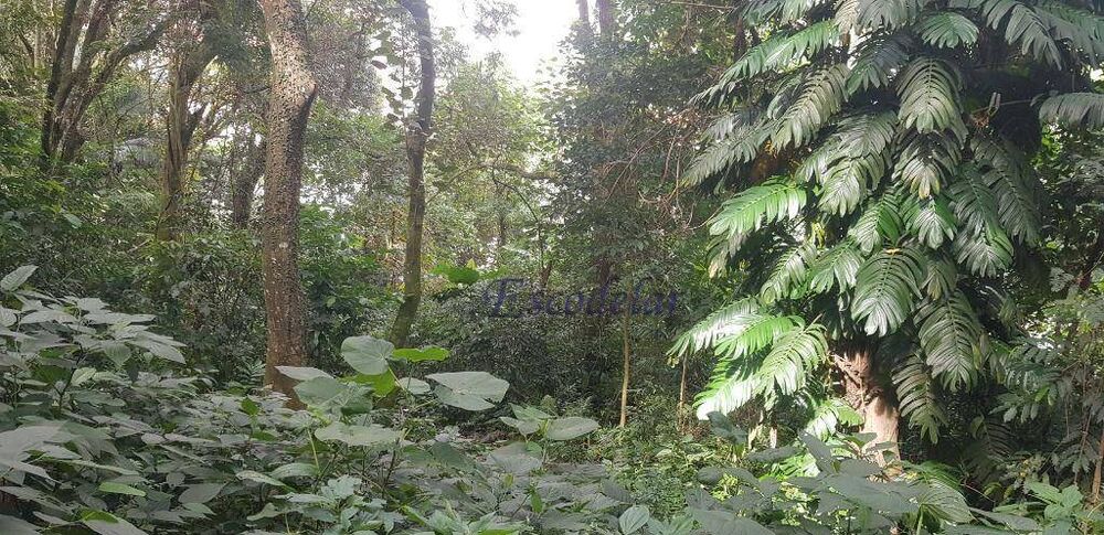 Terreno, 1383 m² - Foto 7