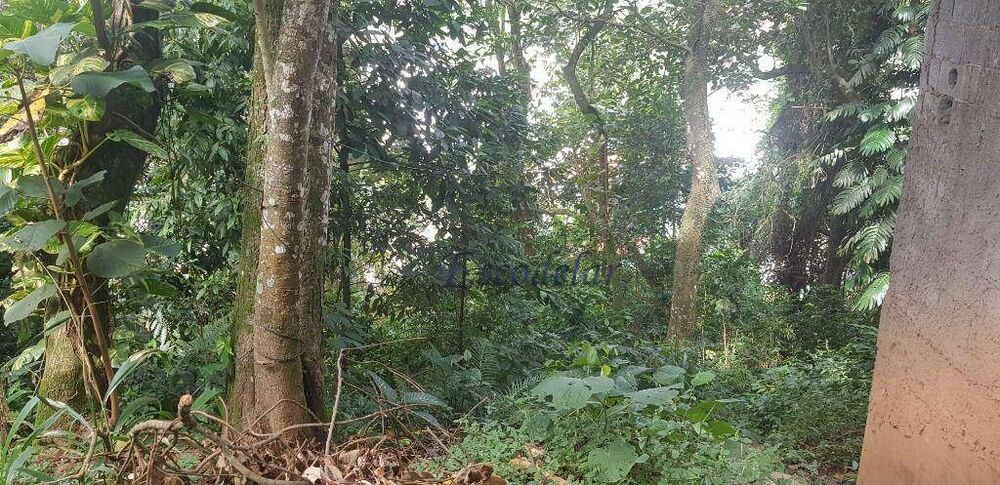 Terreno, 1383 m² - Foto 2