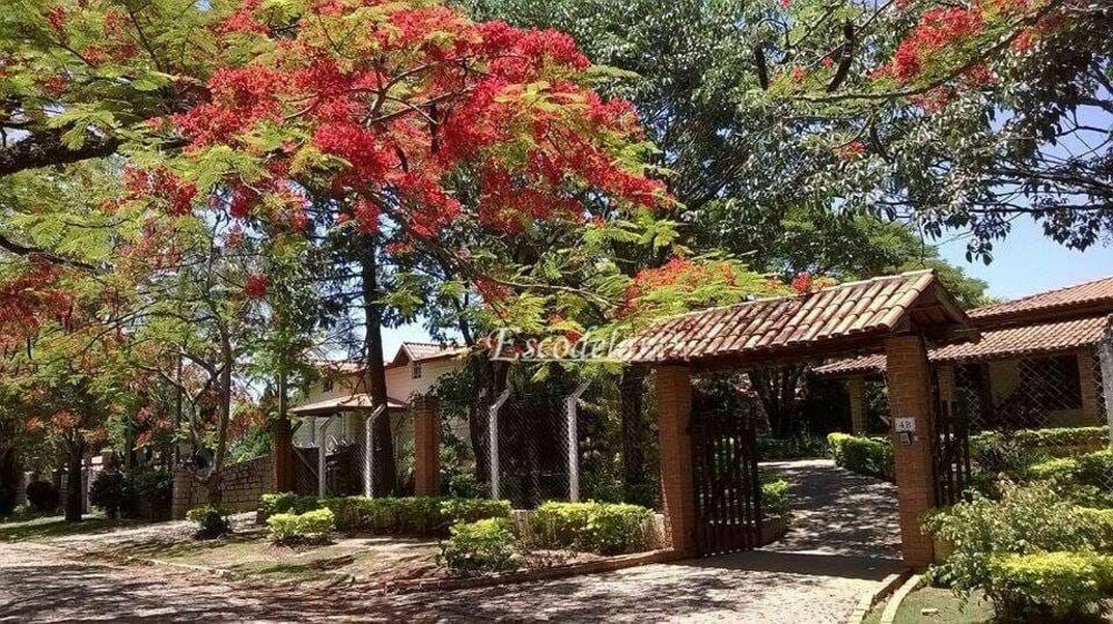 Chácara, 6 quartos, 2500 m² - Foto 11