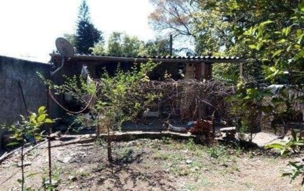 Casa, 3 quartos, 564 m² - Foto 6