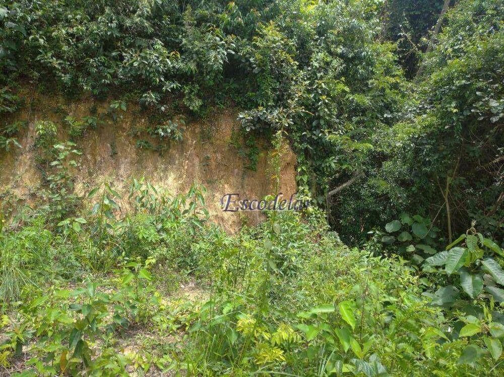 Terreno, 400 m² - Foto 4