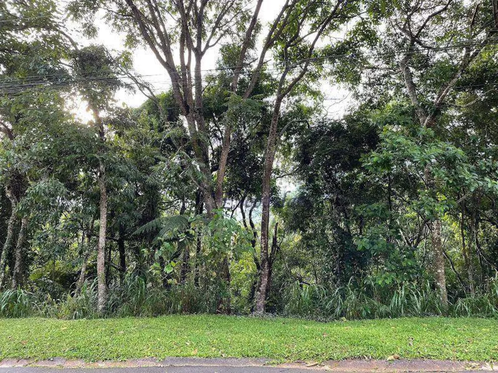 Loteamento e Condomínio à venda, 1205M2 - Foto 5