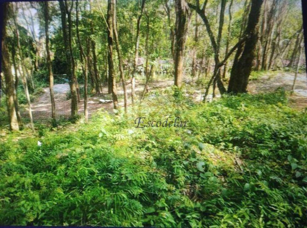 Terreno, 119 m² - Foto 8