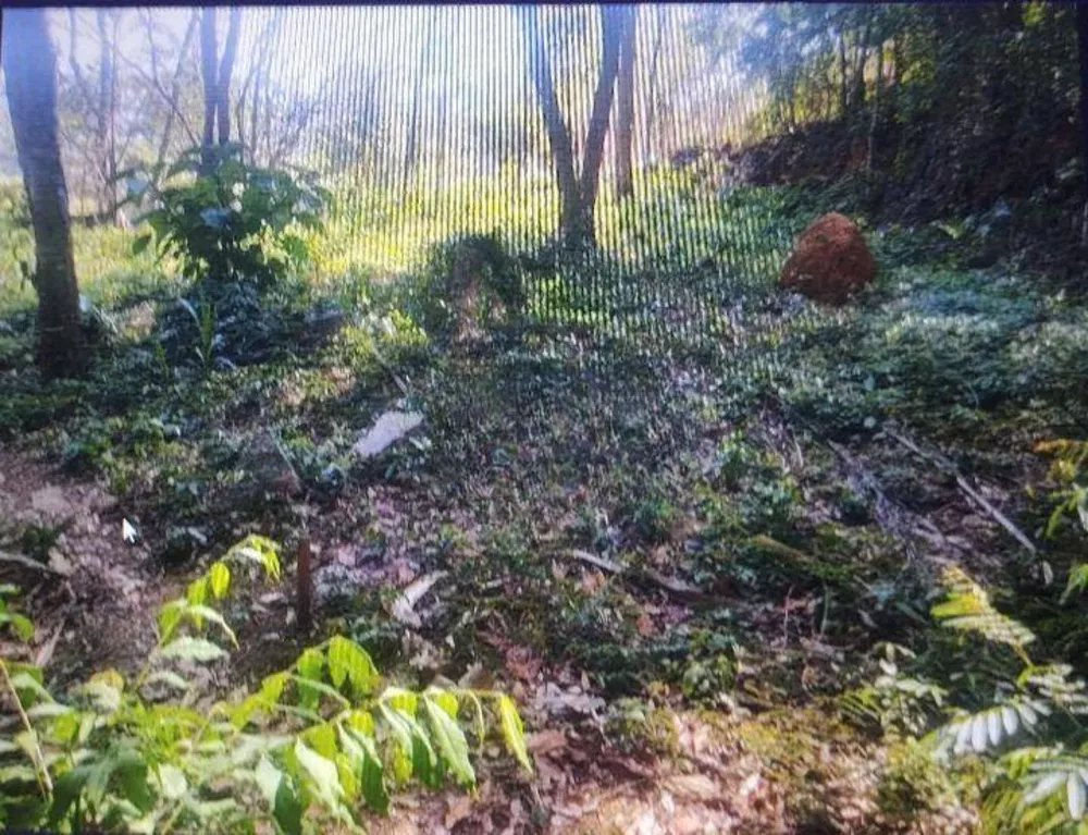 Terreno, 119 m² - Foto 1