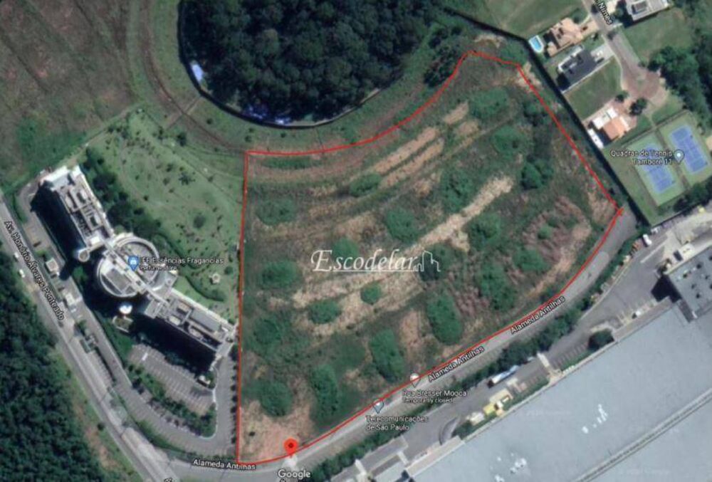 Terreno, 3 hectares - Foto 5