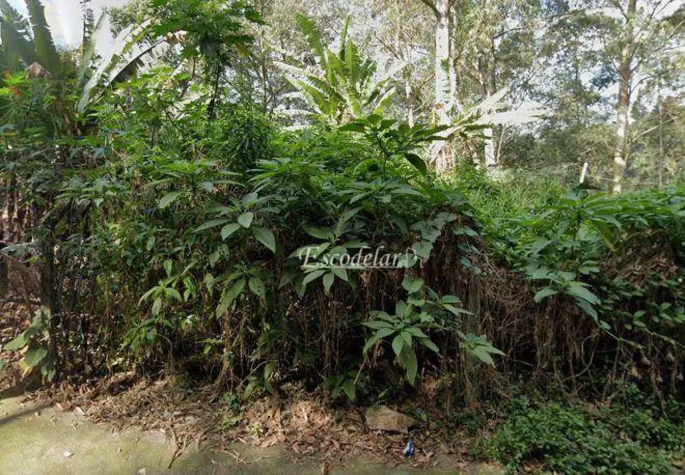Terreno, 500 m² - Foto 2