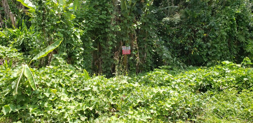 Loteamento e Condomínio, 1020 m² - Foto 10