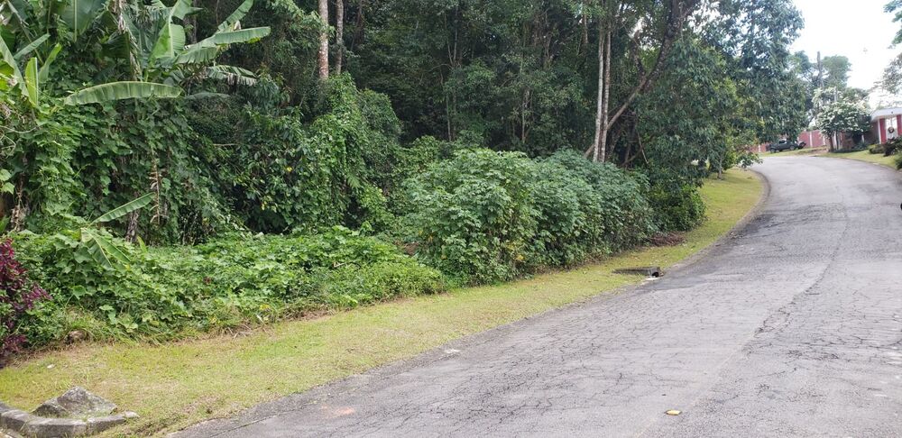 Loteamento e Condomínio, 1020 m² - Foto 5