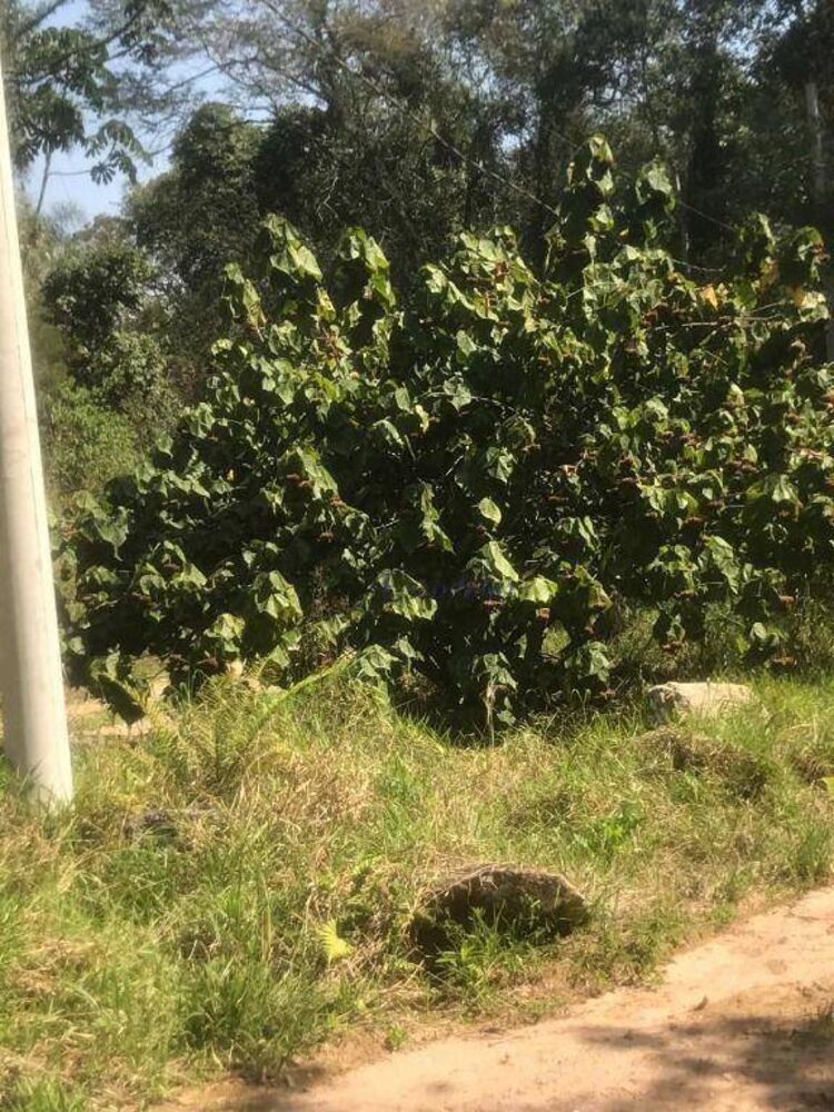 Loteamento e Condomínio, 2040 m² - Foto 3