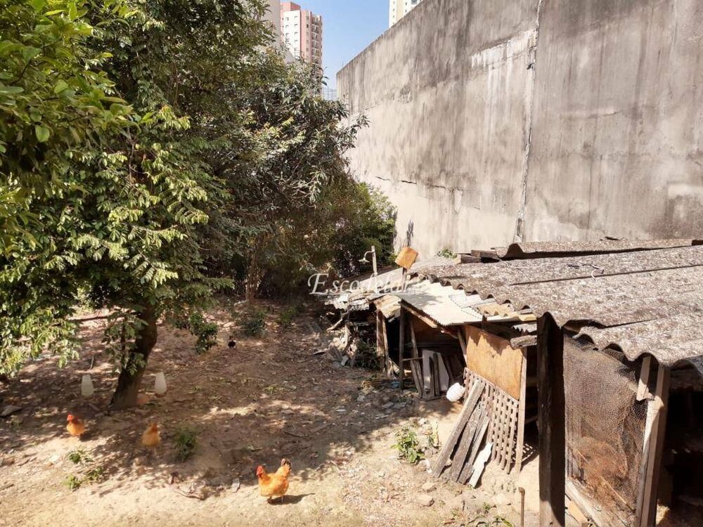 Terreno, 1140 m² - Foto 4