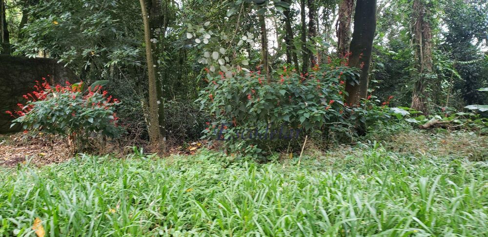 Terreno, 1100 m² - Foto 2