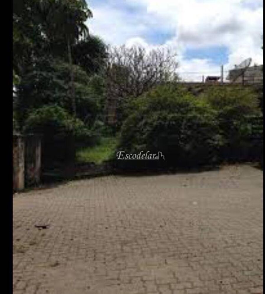 Terreno, 8000 m² - Foto 5