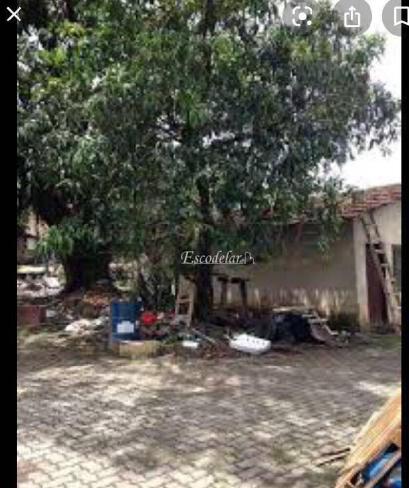 Terreno, 8000 m² - Foto 11