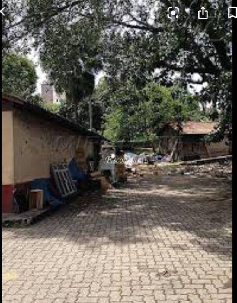 Terreno, 8000 m² - Foto 10