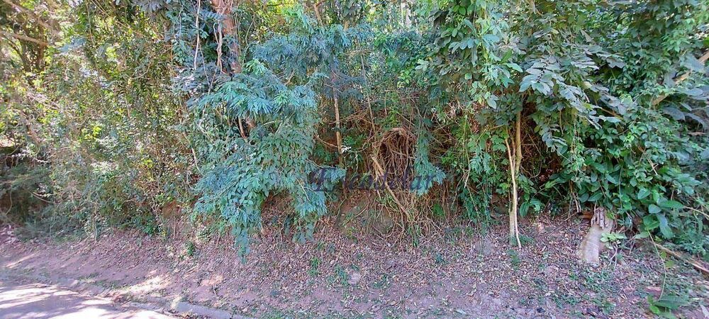 Loteamento e Condomínio, 2323 m² - Foto 3