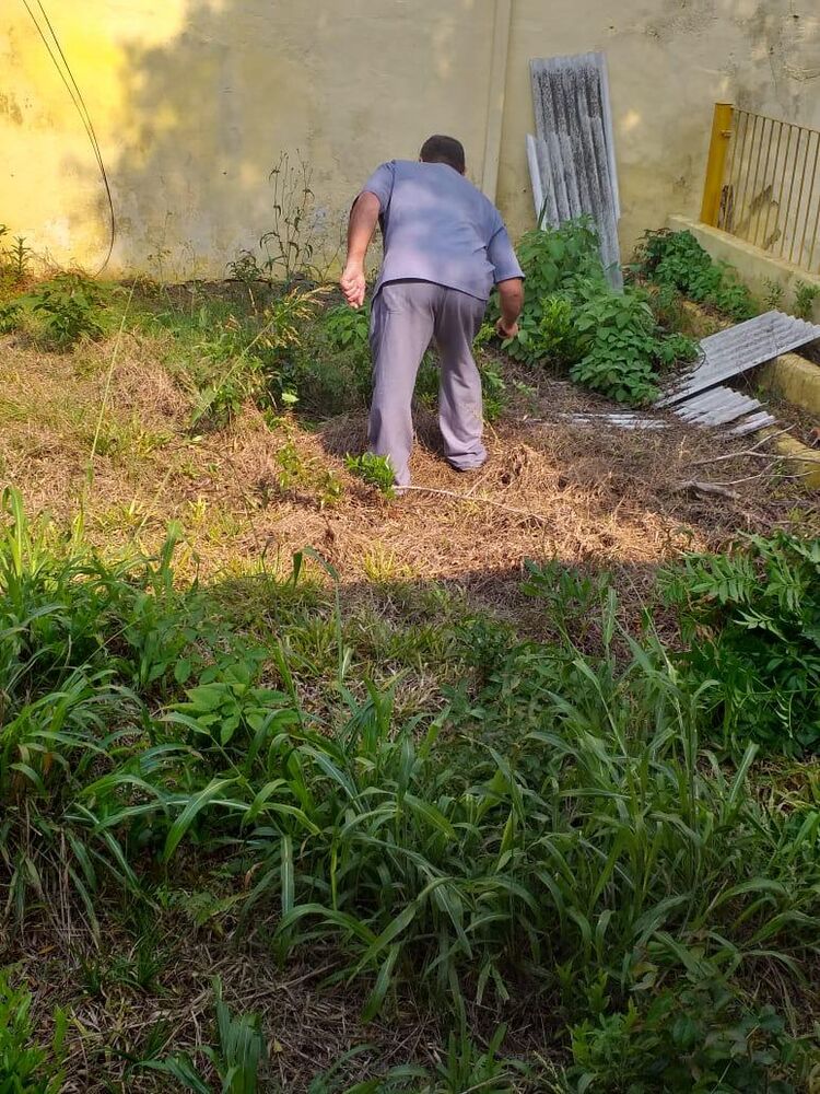 Terreno, 1000 m² - Foto 6