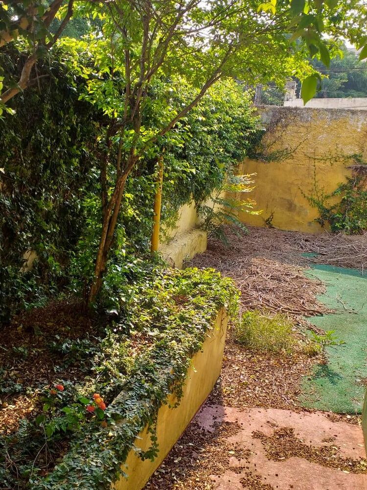 Terreno, 1000 m² - Foto 5