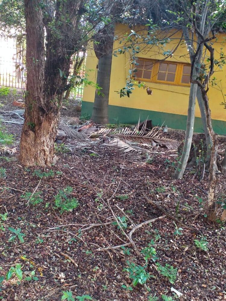 Terreno, 1000 m² - Foto 4