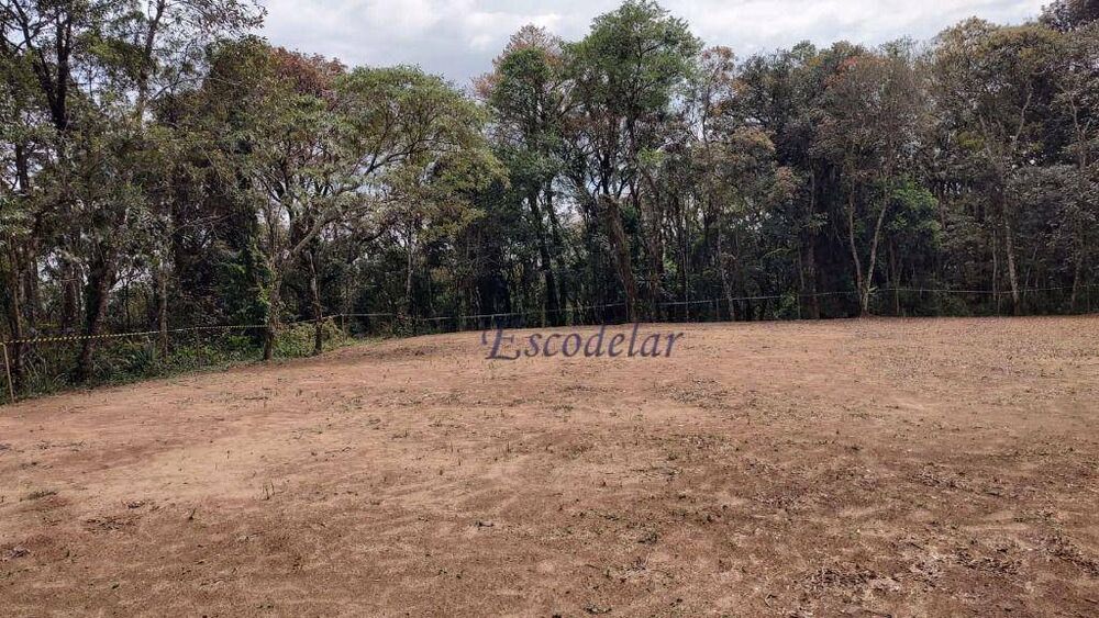 Terreno, 1 hectares - Foto 4