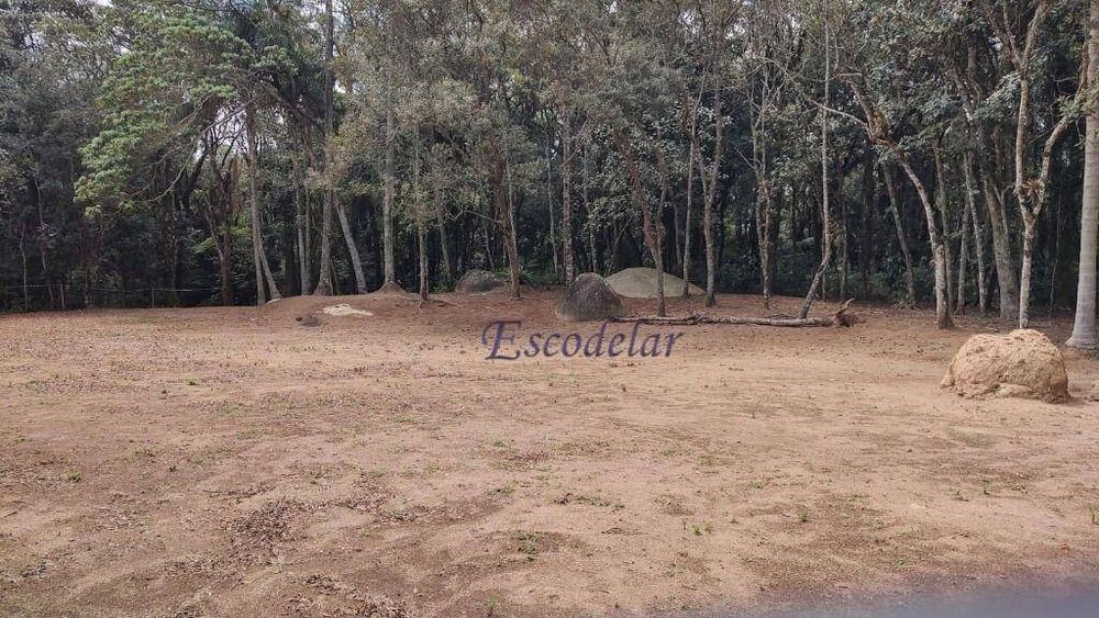 Terreno, 1 hectares - Foto 3