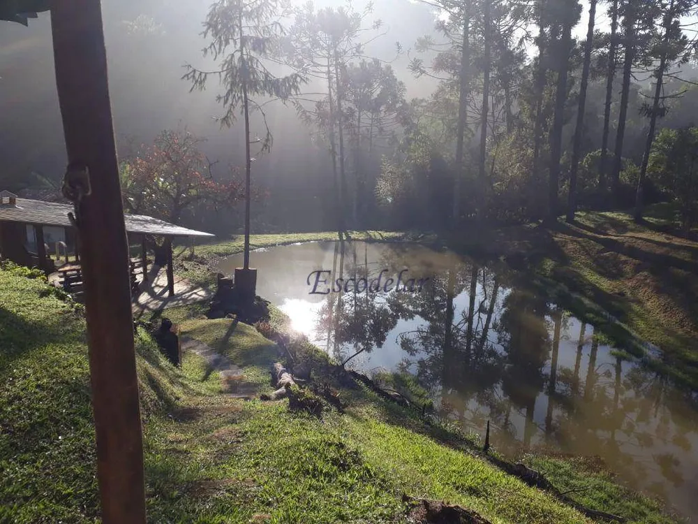 Sítio, 5 quartos, 34 hectares - Foto 3