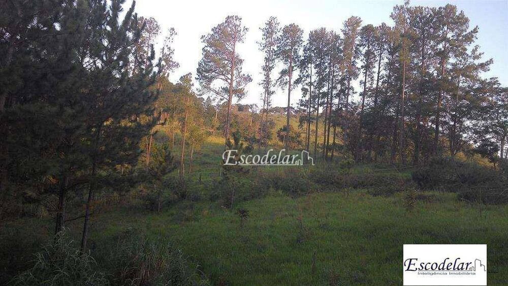 Terreno, 3282 m² - Foto 2