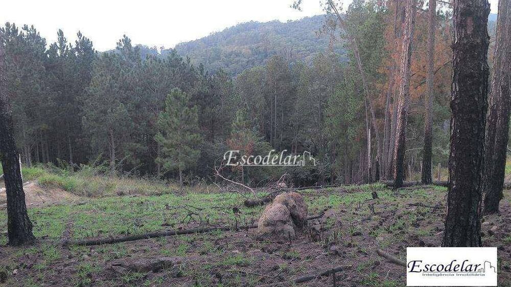 Terreno, 3282 m² - Foto 4